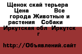 Щенок скай терьера › Цена ­ 20 000 - Все города Животные и растения » Собаки   . Иркутская обл.,Иркутск г.